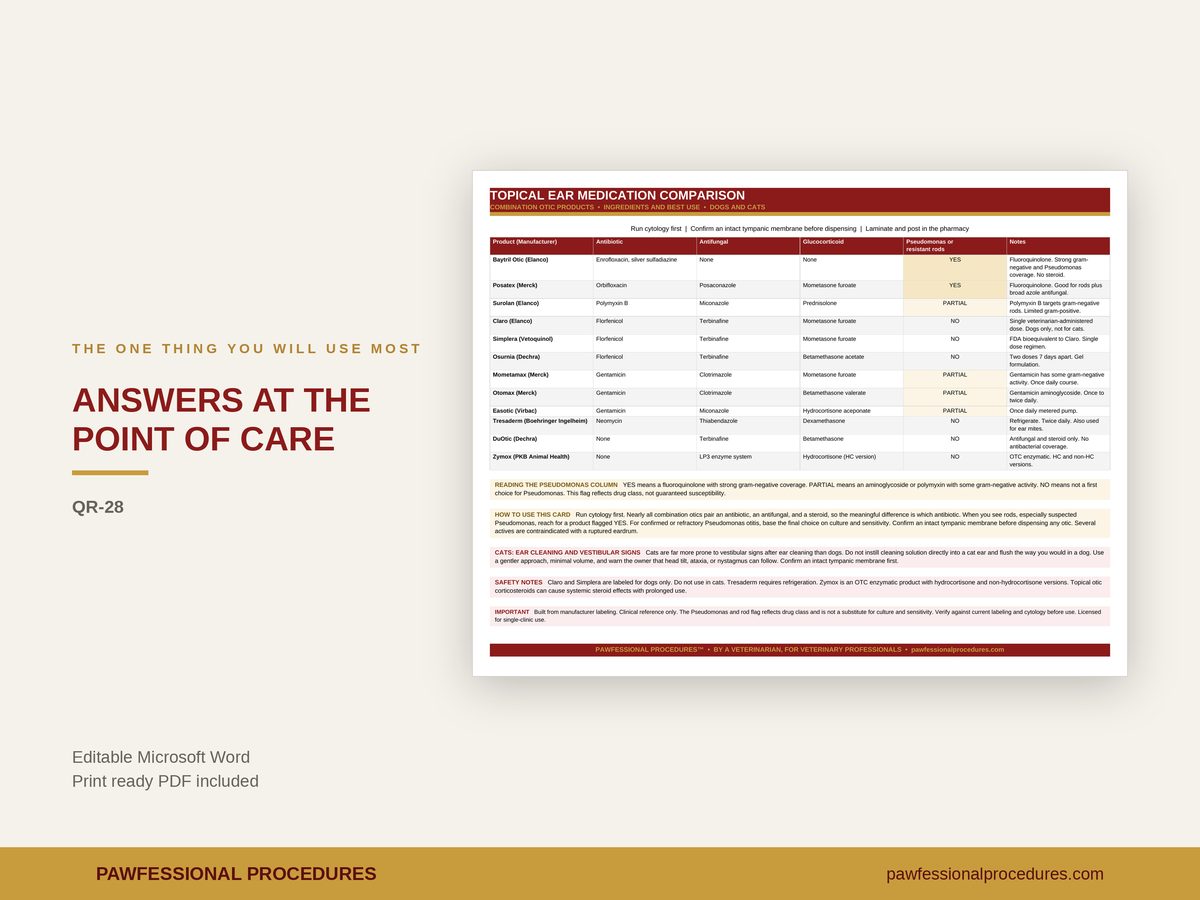Ear Infections Client Handout, preview 2 of 3