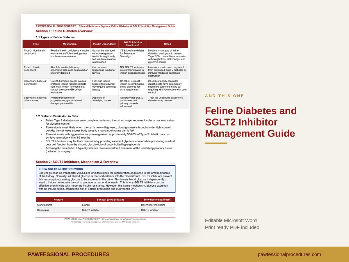 Feline Diabetes and SGLT2 Inhibitor Management Guide, preview 3 of 3