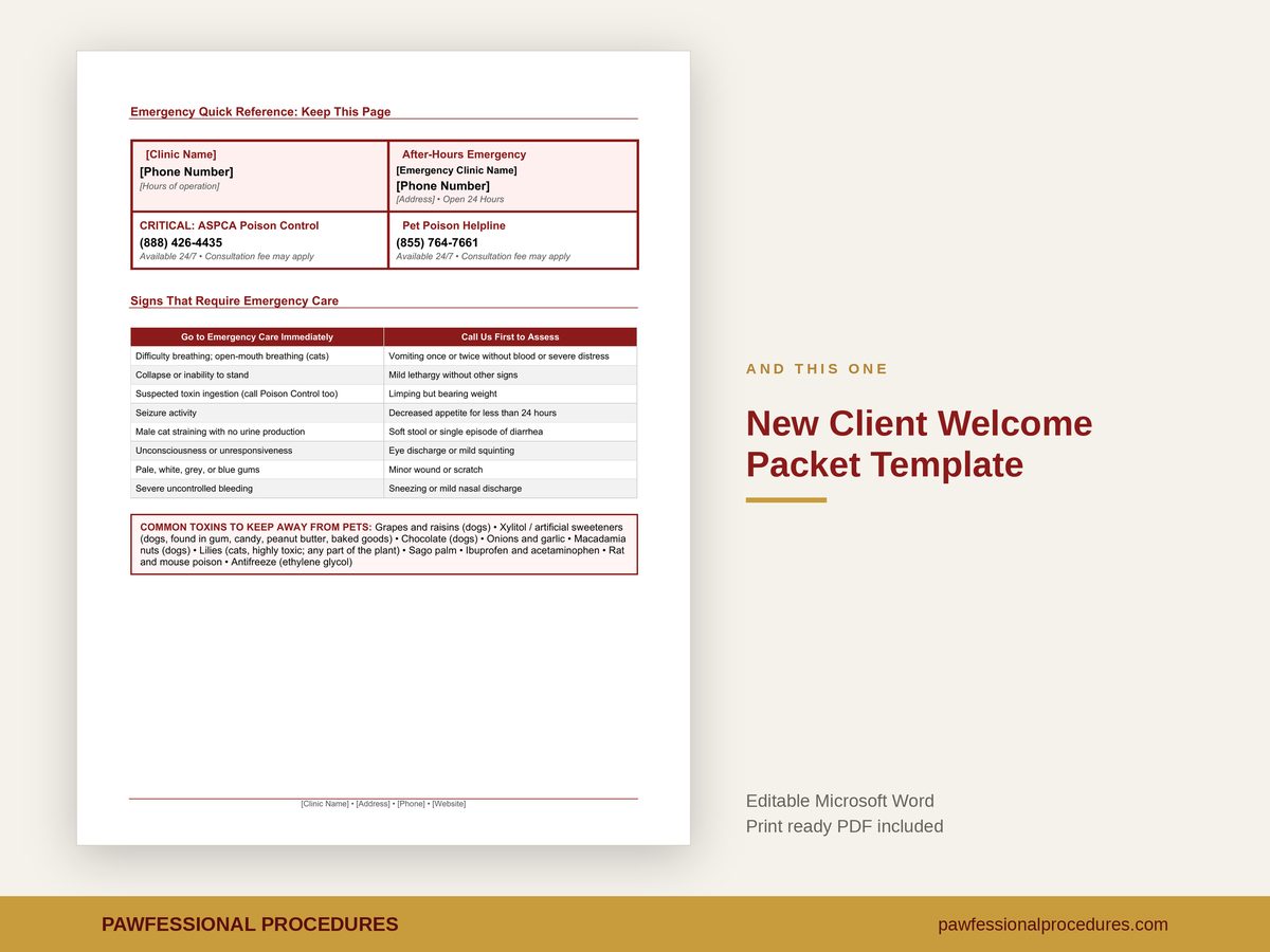 New Client Welcome Packet Template, preview 3 of 3