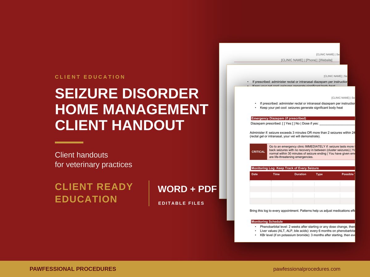 Seizure Disorder Client Handout, preview 1 of 3