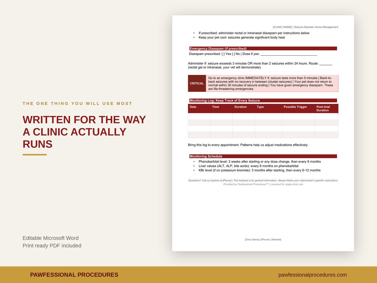 Seizure Disorder Client Handout, preview 2 of 3