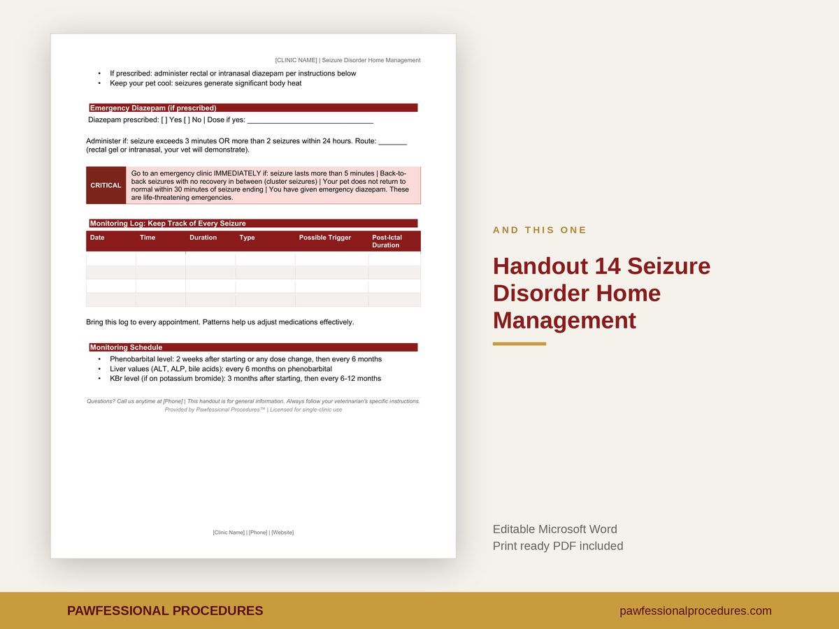 Seizure Disorder Client Handout, preview 3 of 3